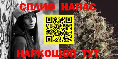 дурь Заводоуковск