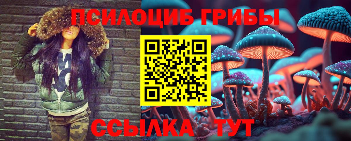 Псилоцибиновые грибы мицелий  Псилоцибиновые грибы Cubensis  Карпинск  Вход с VPN 